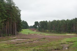 Swinley Forest 15th